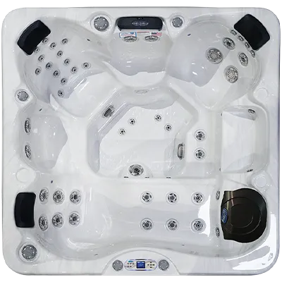 Avalon EC-849L hot tubs for sale in Sandy Springs