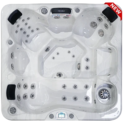 Avalon-X EC-849LX hot tubs for sale in Sandy Springs