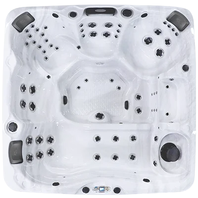 Avalon EC-867L hot tubs for sale in Sandy Springs